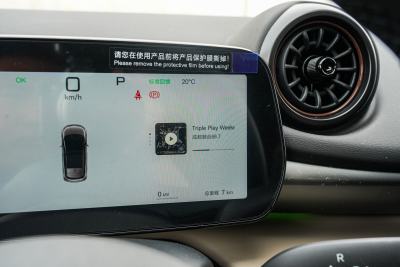 2025款 智驾版 520km 骑士版-内饰-图片-有驾