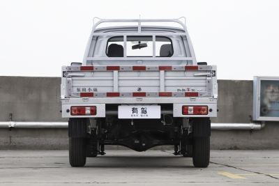 2024款 1.6L 单排 LV0 -外观-图片-有驾