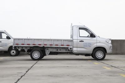 2024款 1.6L 单排 LV0 -外观-图片-有驾