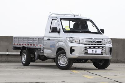 2024款 1.6L 单排 LV0 -外观-图片-有驾