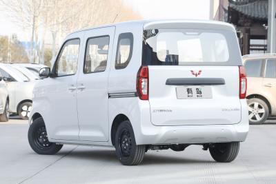 2025款 标准型-外观-图片-有驾