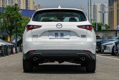 2025款 2.0L 自动两驱智尚Pro-外观-图片-有驾