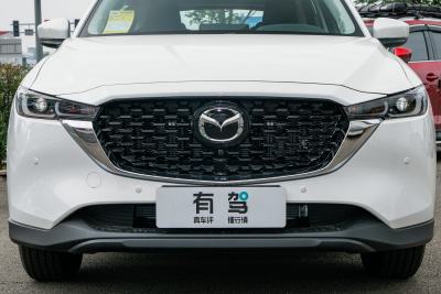 2025款 2.0L 自动两驱智尚Pro-外观-图片-有驾