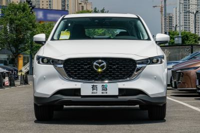 2025款 2.0L 自动两驱智尚Pro-外观-图片-有驾