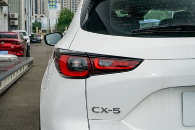 2025款 2.0L 自动两驱智尚Pro-外观-图片-有驾