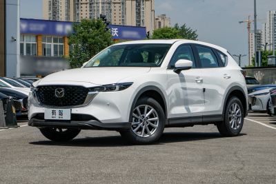 2025款 2.0L 自动两驱智尚Pro-外观-图片-有驾
