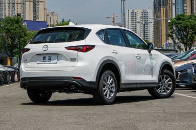 2025款 2.0L 自动两驱智尚Pro-外观-图片-有驾