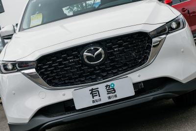 2025款 2.0L 自动两驱智尚Pro-外观-图片-有驾