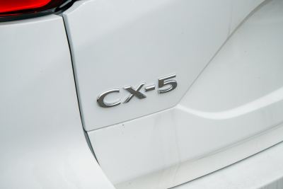 2025款 2.0L 自动两驱智尚Pro-外观-图片-有驾