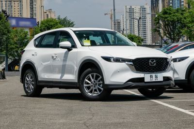 2025款 2.0L 自动两驱智尚Pro-外观-图片-有驾