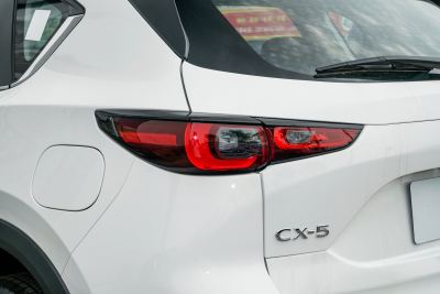 2025款 2.0L 自动两驱智尚Pro-外观-图片-有驾
