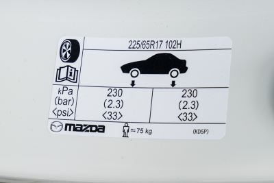 2025款 2.0L 自动两驱智尚Pro-外观-图片-有驾