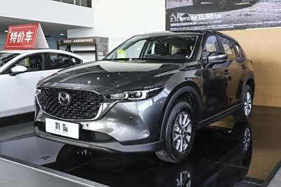 2025款 2.0L 自动两驱智尚Pro-外观-图片-有驾