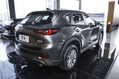 2025款 2.0L 自动两驱智尚Pro-外观-图片-有驾