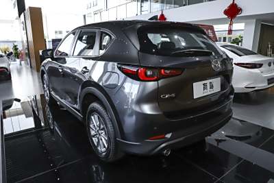 2025款 2.0L 自动两驱智尚Pro-外观-图片-有驾