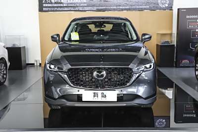 2025款 2.0L 自动两驱智尚Pro-外观-图片-有驾