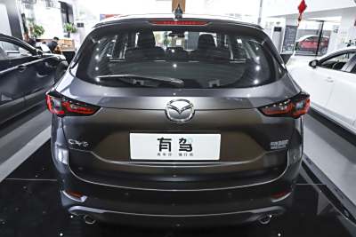 2025款 2.0L 自动两驱智尚Pro-外观-图片-有驾