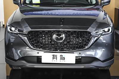 2025款 2.0L 自动两驱智尚Pro-外观-图片-有驾