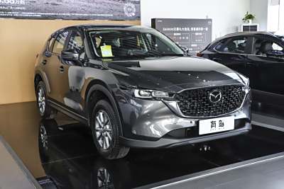 2025款 2.0L 自动两驱智尚Pro-外观-图片-有驾