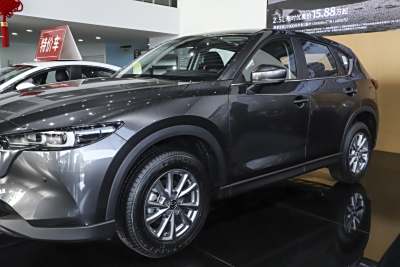 2025款 2.0L 自动两驱智尚Pro-外观-图片-有驾