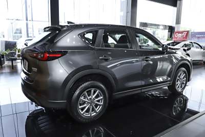 2025款 2.0L 自动两驱智尚Pro-外观-图片-有驾