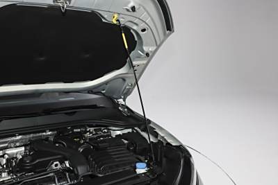 2026款 L 300TSI DSG 豪华型-外观-图片-有驾