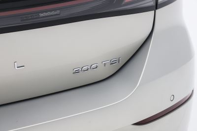 2026款 L 300TSI DSG 豪华型-外观-图片-有驾