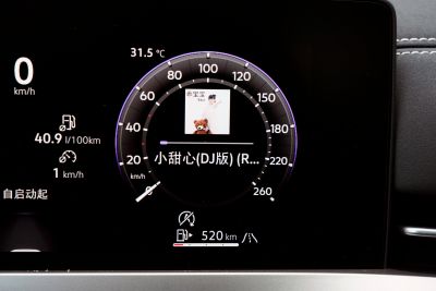 2026款 L 300TSI DSG 豪华型-内饰-图片-有驾