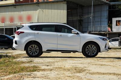 2022款 1.5T 手动亚马逊版 7座-外观-图片-有驾