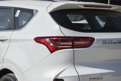 2022款 1.5T 手动亚马逊版 7座-外观-图片-有驾
