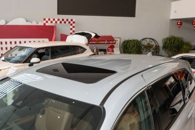 2026款 2.5L 双擎四驱臻享版-外观-图片-有驾