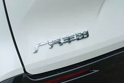 2026款 2.5L 双擎四驱臻享版-外观-图片-有驾