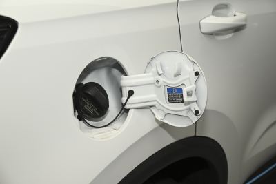 2022款 1.5L 灵动猫猫版-外观-图片-有驾
