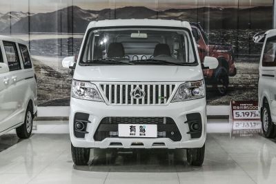 2023款 1.6L CNG舒适型厢货2座-外观-图片-有驾