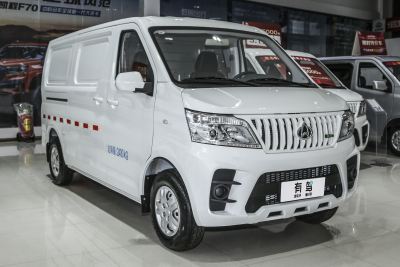 2023款 1.6L CNG舒适型厢货2座-外观-图片-有驾