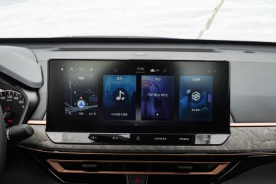 2024款 2.0L SV 黑金版-内饰-图片-有驾