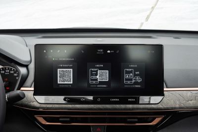 2024款 2.0L SV 黑金版-内饰-图片-有驾