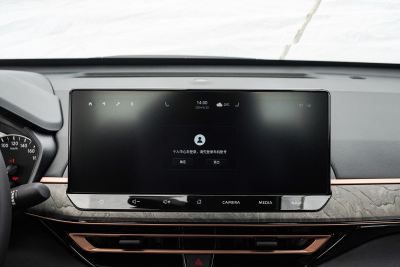 2024款 2.0L SV 黑金版-内饰-图片-有驾