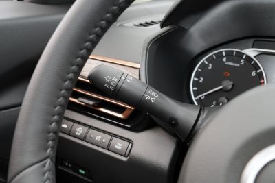 2024款 2.0L SV 黑金版-内饰-图片-有驾