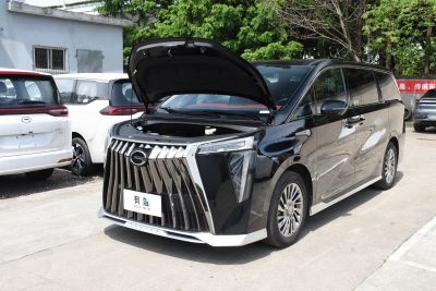 2024款 宗师系列 400T 至尊版-外观-图片-有驾