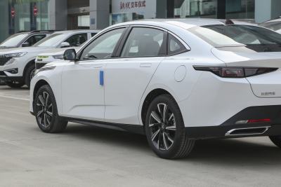 2023款 蓝鲸NE 1.5T GDI DCT领航型-外观-图片-有驾