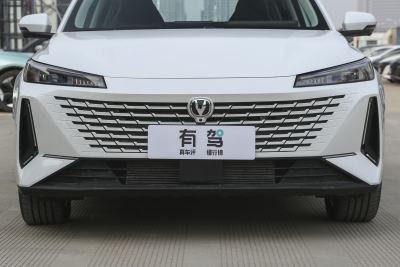 2023款 蓝鲸NE 1.5T GDI DCT领航型-外观-图片-有驾