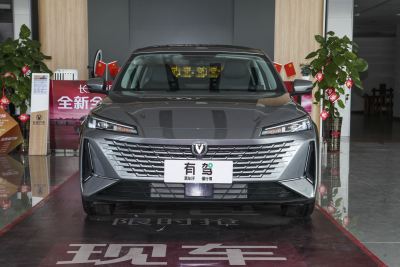 2023款 蓝鲸NE 1.5T GDI DCT领航型-外观-图片-有驾