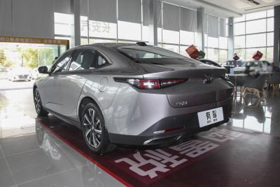 2023款 蓝鲸NE 1.5T GDI DCT领航型-外观-图片-有驾