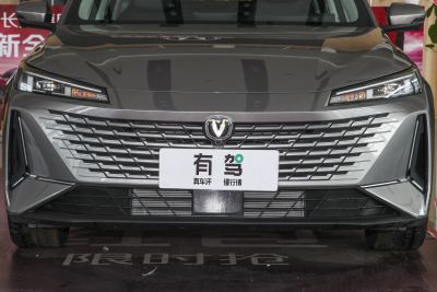 2023款 蓝鲸NE 1.5T GDI DCT领航型-外观-图片-有驾