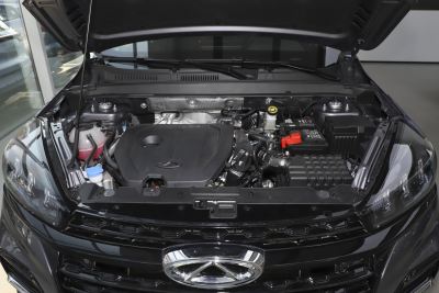 2024款 荣耀版 230TCI 自动卓越版 5座-外观-图片-有驾