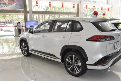 2023款 2.0L 智能电混双擎 运动版-外观-图片-有驾