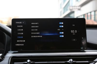 2025款 290TGDI 自动畅行版 5座-内饰-图片-有驾