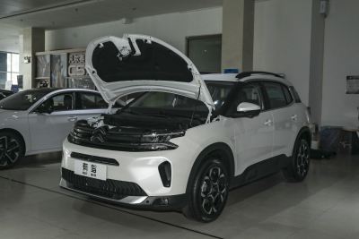 2026款 360THP 智享版-外观-图片-有驾