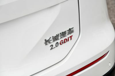 2024款 2.0T 两驱Max-外观-图片-有驾